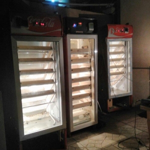 1000 yumurta tutumlu Tam avtomatik inkubator. Nemislik istilik yumurta