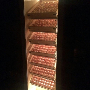 1000 yumurta tutumlu Tam avtomatik inkubator. Nemislik istilik yumurta