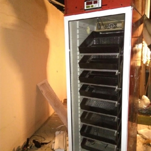 inkubatorlarin yığılması ve temiri.  inkubator tam avtomatik rejimde m