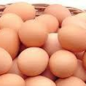 Qariwiq 100% tam mayali kend yumurtasi var. En coxda arasinda serbirst