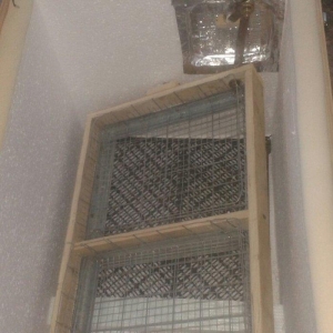 Inqibator satılır və sifarislə yıgılır 120 yumurtalıq  145 azn mexanik