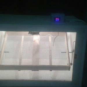 Inqibator satılır 120 yumurta tutur yaxsı cıxıs verir cevirmə mexaniki