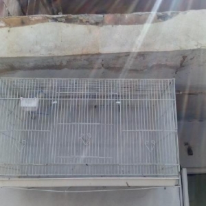 qefes satilir cox az iwlebib. Eni hundurluyu 46sm  uzunu 77 sm