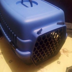 Qəfəs yenidir, whatsapp aktivdir və ya nömrəyə zəng edib maraqlana bil