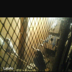 salam hamsn satram dene dene satmram 8 yuva iri qefesi metreyarm uzunu