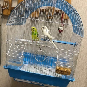 Продаётся! купили недавно ,из за того что дома маленький ребёнок не