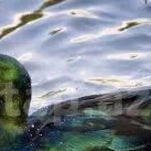 kayuqa ordeyler satilir bir ededi 100 azn qiymet s