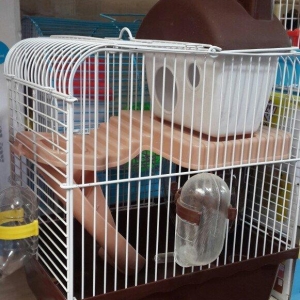 Cunqariklercun Teze iri qefes satilir iki mertebel