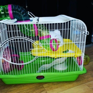 Diger qefeslere baxmaq ucun whatsap ve ya instaqra