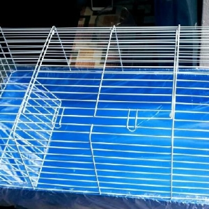 Dowan qefesi satilir tezedir coxxx geniwdir. Esl donwan qefesidir. 1m