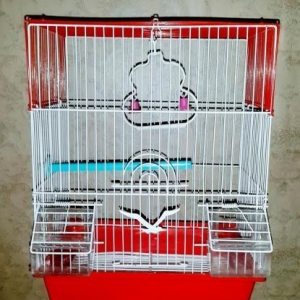 Iri qefes satilir. Su qabi , yem qabi,  papuqay  d