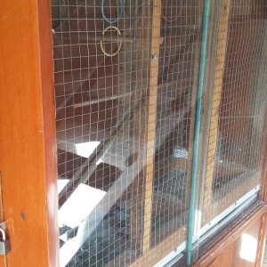 papuqaylar üçün iri qəfəsdi iki yuvası yay qapısı qış qapısı quşlara a