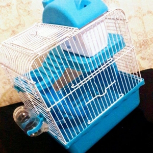 Cunqariklercun Teze qefes icinin her bir aksesuari