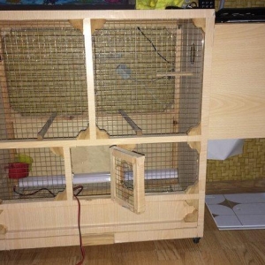 El isi olan cox az seliqeli istifade olunan  qefes