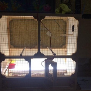 El isi olan cox az seliqeli istifade olunan  qefes satilir yuva yeri,i