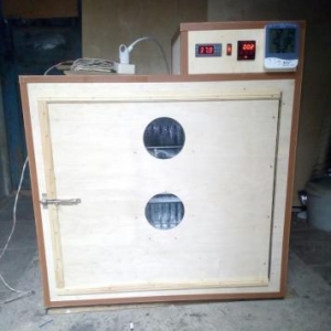 isdenilen yumurta sayına görə inkubatorlar yiqilir tam aftamat və zəma