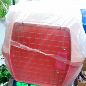 Itlerin ve piwiklerin dawinmasi ucun pirnoska satilir. Berk matriali v