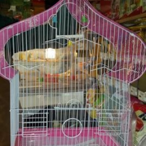 Iri qefes satilir. Su qabi , yem qabi,   papuqay  durmasi ucun cubuq v