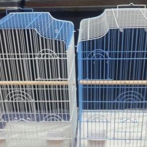 Karellalarcun teze iri qefesler satilir. 2 su qabi