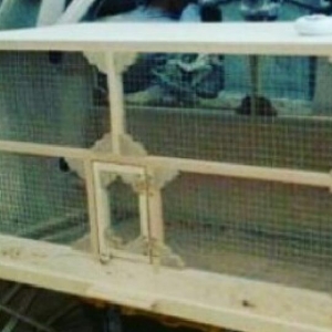 QEFES. UZUNU 1 M, ENI 50 SM, HÜNDÜRLÜY 50 SM.  