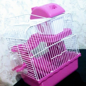 Xamyak , Cunqarik (hamster) ucun Teze iki mertebel