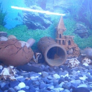 Aksesuarlari ile birlikde satilir. Hundurluyu 0. 50m. Eni. 0. 50m. Uzu