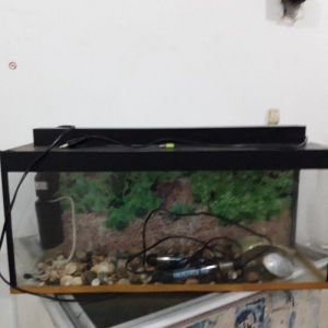 akvarium icinde matoru spiral ve icindeki aksesuarlar ile birlikde sat