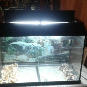 su temizləyən filtermator, mənzərəli daş və