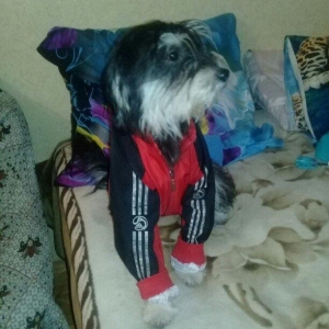 7 aylıqdılar ikiside dişidi .keserkay emelyati ile dunyaya gelibler .h