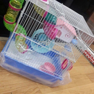 Teze iri Cunqarik qefesi. Tam ideal bir qefesdir. 