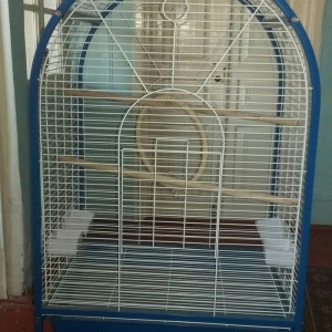 Boyuk qefesdi demek olar ki tezedi. Cemi 1 ay icin