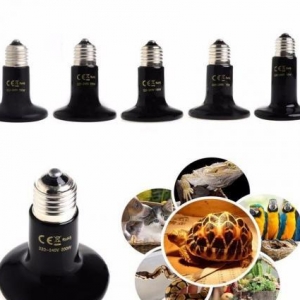 Bruder üçün keramik lampa işıq vermir ancaq i