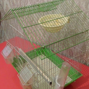 Qefes satılır her şeyı  üstündə 15 azn  Tecili satılır whatsapp