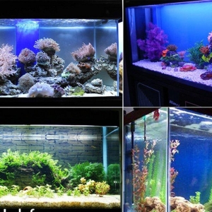 Ag və göy rəngdə ikisi birlikdə yanan led lam