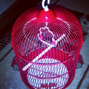 Teze iri gozel gornuwlu qefes satilir. Su qabi+yem