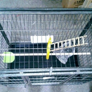 Jakolarcun Teze iri Demirden qefes satilir. Sinmasi qirilmasi qeyri mu