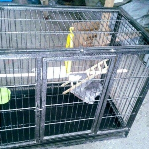 Jakolarcun Teze iri Demirden qefes satilir. Sinmasi qirilmasi qeyri mu