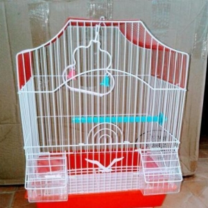 Son 3 ed qaldi teze  qefeslerdi. Her birinin  her weyi var.