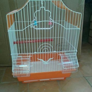 Son 3 ed qaldi teze  qefeslerdi. Her birinin  her weyi var.