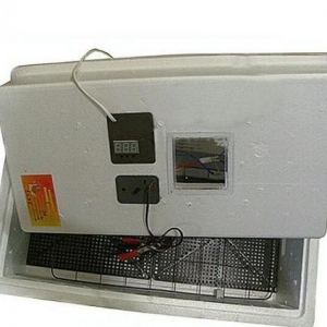 Rusiya inkubator her sey avtomatik. Zavod malidi. Teze inkubator nesus