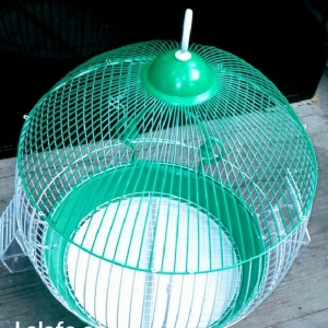 Papuqay qefesi satilir. Su qabi + yem qabi+ akeesuar qiymete daxildir.