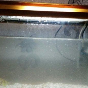 Akvarium  mator, icinin dasi ,isiq  eni21sm  hundurluyu 29 uzunlugu 44