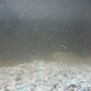 Akvarium  mator, icinin dasi ,isiq  eni21sm  hundurluyu 29 uzunlugu 44