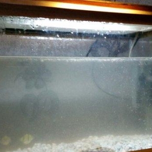 Akvarium  mator, icinin dasi ,isiq  eni21sm  hundurluyu 29 uzunlugu 44