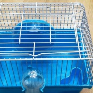 Teze cunqarik qefesleri satilir.Diger elanlar ucun whatsap ve ya Insta