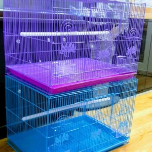 Teze iri qefes satilir. icinin her bir aksesuari u