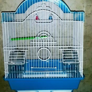 Iri qefes satilir. Su qabi , yem qabi,   papuqay  