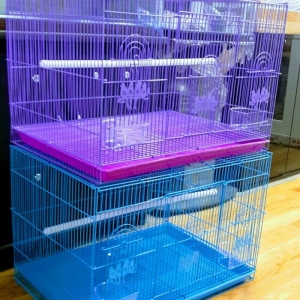 Teze iri qefes satilir icinin her bir avadanliqi ile.Diger elanlar ucu