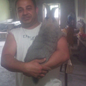 Rizinq 2 denedi erkey. Fevralin balasidi 1 ni deyiwerem diwiyle rizinq