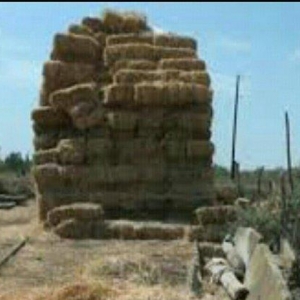 800 yonca presi hamsini alana 4m yarisi 4.3
200 alana 4.5 Nosundan kec